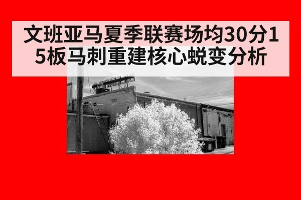 文班亚马夏季联赛场均30分15板马刺重建核心蜕变分析